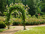  Bildansicht Sehenswürdigkeit  Der hübsche Eingang zum Rosengarten