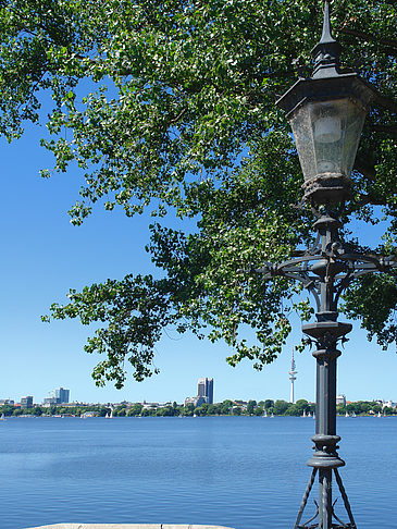 Bäume und Laterne an der Binnenalster