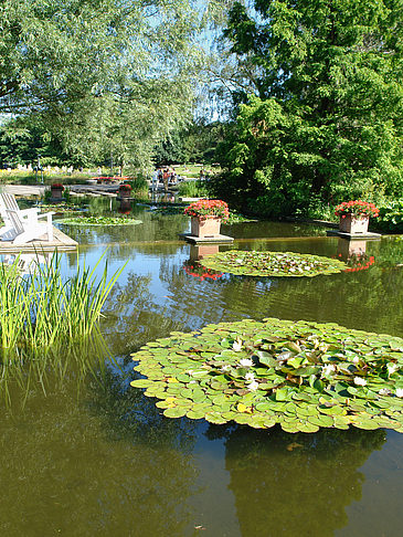 Foto Planten un Blomen - Wasserkaskaden