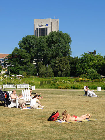 Fotos Planten un Blomen - Wiese am Parksee