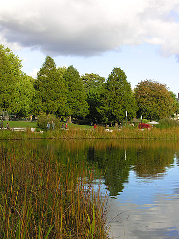 Foto Planten un Blomen - Hamburg