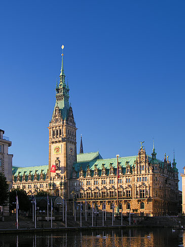 Foto Rathaus - Hamburg