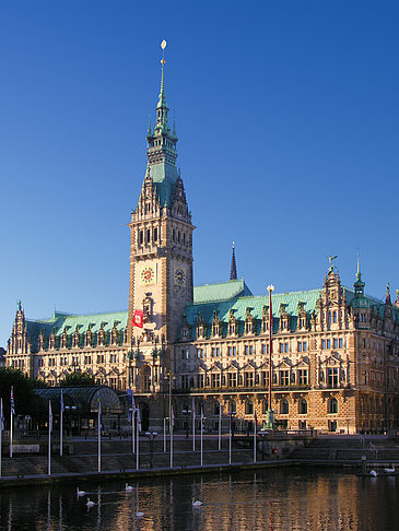 Rathaus Fotos