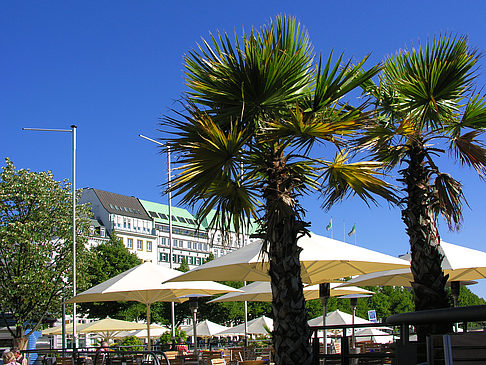 Foto Alster Pavillon - Hamburg