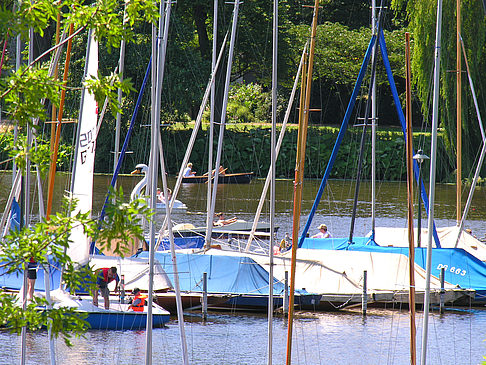 Foto Bootsverleih und Hafen auf der Außenalster