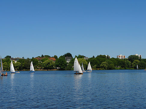 Segelboote auf der Außenalster - Hamburg (Hamburg)