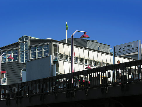 Baumwall Fotos