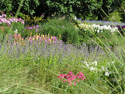 Foto Planten un Blomen - Gärten
