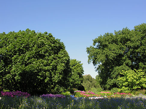 Fotos Planten un Blomen - Gärten | Hamburg