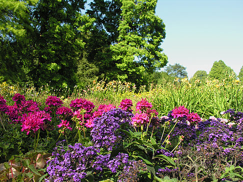 Planten un Blomen - Gärten Foto 