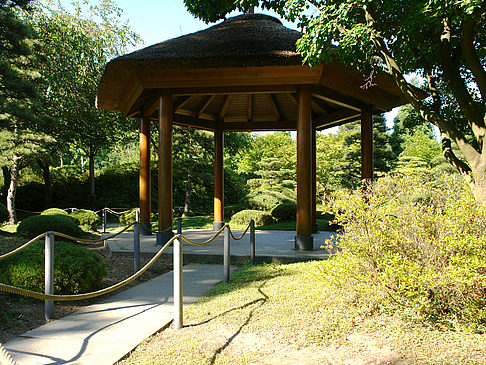 Fotos Planten un Blomen - Japanischer Garten