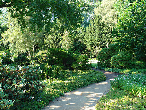 Fotos Planten un Blomen - Japanischer Garten | Hamburg