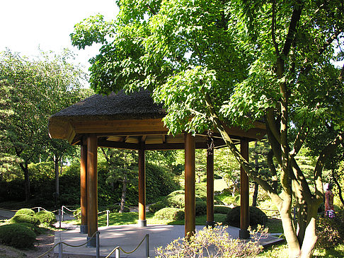 Fotos Planten un Blomen - Japanischer Garten | Hamburg