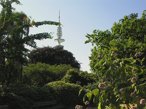 Foto Planten un Blomen - Japanischer Garten