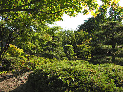 Planten un Blomen - Japanischer Garten Foto 