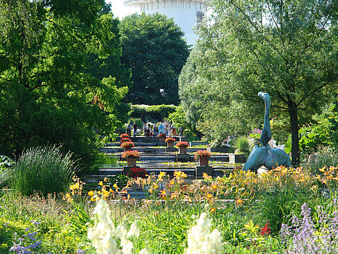 Planten un Blomen - Wasserkaskaden Fotos