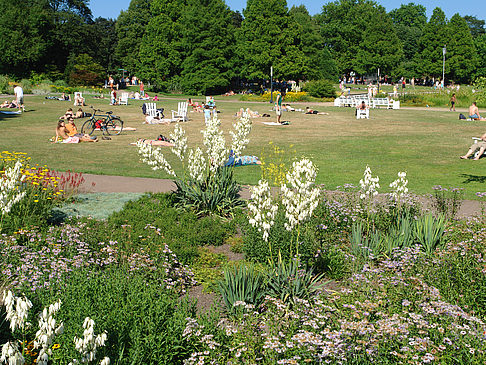 Fotos Planten un Blomen - Wiese am Parksee | Hamburg