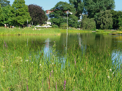 Planten un Blomen - Wiese am Parksee Foto 