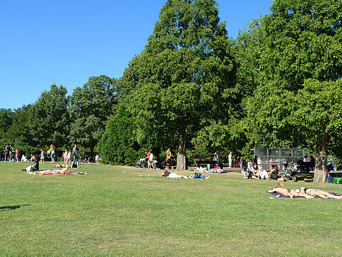 Fotos Planten un Blomen - Wiese am Parksee