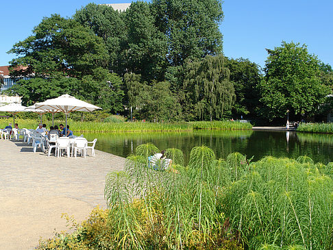 Fotos Planten un Blomen - Wiese am Parksee | Hamburg