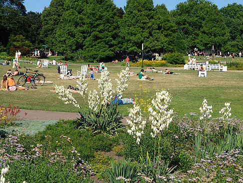 Fotos Planten un Blomen - Wiese am Parksee
