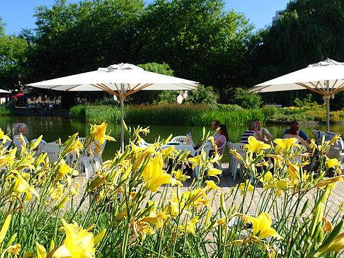 Fotos Planten un Blomen - Wiese am Parksee