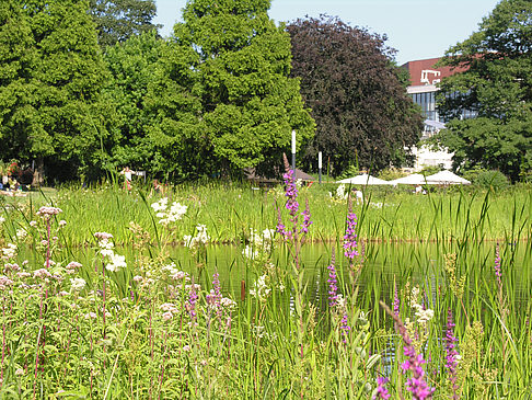 Planten un Blomen - Wiese am Parksee Fotos