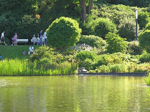 Planten un Blomen - Wiese am Parksee